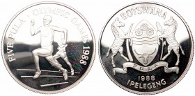 Botswana, 5 pula 1988, silver