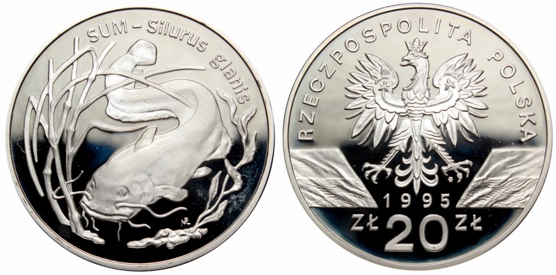 III RP, 20 złotych 1995 Sum
 Drobny nalot. 

Grade: Proof