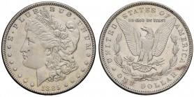 USA Dollaro 1885 - AG (g 26,70)
qSPL