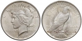 USA Dollaro 1923 - AG (g 26,79)
SPL