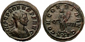Ancient coins
RÖMISCHEN REPUBLIK / GRIECHISCHE MÜNZEN / BYZANZ / ANTIK / ANCIENT / ROME / GREECE

Roman Empire. Probus (276-282). Aantoninian 280, ...