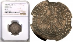 Sigismund II August
POLSKA/ POLAND/ POLEN/ LITHUANIA/ LITAUEN

Zygmunt I Stary. Grosz (Groschen) 1536, Vilnius NGC XF45 

 Bardzo ładny egzemplar...