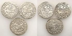 Sigismund II August
POLSKA/ POLAND/ POLEN/ LITHUANIA/ LITAUEN

Zygmunt II August. PółGrosz (Groschen) 1549 - 1561, Vilnius - group 3 pieces 

Róż...