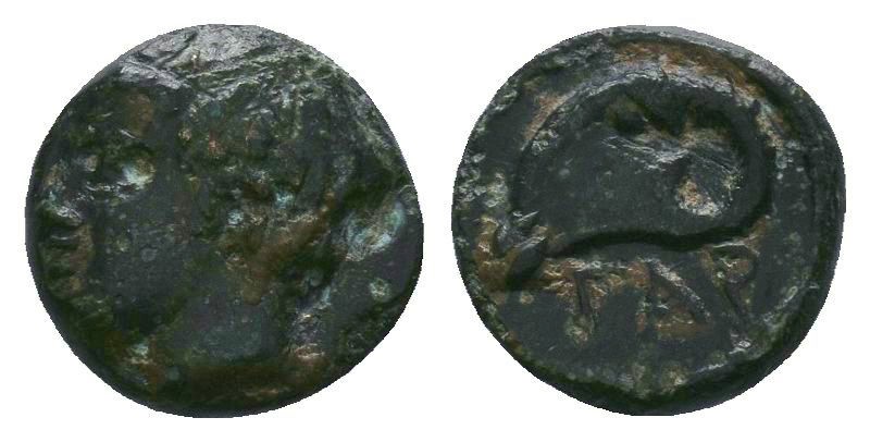 Gargara , Troas. AE c. late 3rd to early 2nd Century BC.

Condition: Very Fine

...