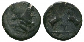 Macedonia Thessalonica Æ19 / Zeus and Goats

Condition: Very Fine

Weight:2.67 gr
Diameter: 15 mm