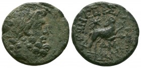 Syria, Seleukis and Pieria. Antiochia ad Orontem. Q. Caecilius Metellus Creticus Silanus. Legate, A.D. 11-17. AE

Condition: Very Fine

Weight:6.46 gr...