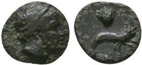 MYSIA. Priapos. Ae (1st century BC).
Condition: Very Fine

Weight: 0.70 gr
Diameter: 9 mm