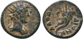PHRYGIA, Laodikeia.2nd-1st cent BC.AE bronze.BMC 98; SNG Cop. 535
Condition: Very Fine

Weight: 2.67 gr
Diameter: 15 mm