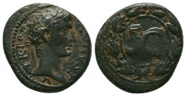 SELEUCIS and PIERIA. Antioch. Augustus , 27 BC-AD 14.AE Bronze
Condition: Very Fine

Weight: 10.11 gr
Diameter: 24 mm