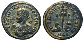 Licinius II as Caesar; 317-324 AD, Ae Follis
Condition: Very Fine

Weight: 3.07 gr
Diameter: 20 mm