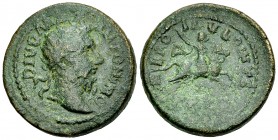 Divus Marcus Aurelius AE24, Philippi 

Divus Marcus Aurelius (died 180), struck under Gallienus (253-268 AD). AE24 (10.35 g), Macedonia, Colonia Fel...