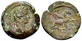 Hadrianus AE Obol, Griffin reverse 

Hadrianus (117-138 AD). AE Obol (20 mm, 5.97 g), Egypt, Alexandria, dated year 11 (126/127) (?).
Obv. ΑΥΤ ΚΑΙ ...