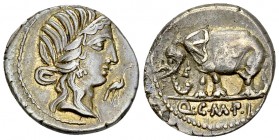 Q. Caecilius Metellus Pius AR Denarius, 81 BC 

Q. Caecilius Metellus Pius. AR Denarius (18 mm, 3.90 g), 81 BC.
Obv. Head of Pietas right; before, ...