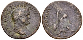 Vespasianus AE As, Iudaea reverse 

Vespasianus (69-79 AD). AE As (27-28 mm, 8.57 g), Lugdunum, 77/78 AD.
Obv. IMP CAES VESPASIAN AVG COS VIII P P,...