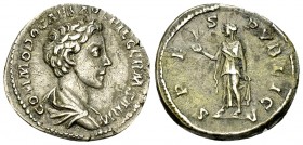 Commodus AR Denarius, Spes reverse 

Marcus Aurelius (161-180) for Commodus Caesar. AR Denarius (18 mm, 3.35 g), Rome, 175/176 AD.
Obv. COMMODO CAE...