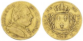 Louis XVIII, AV 20 Francs 1814 K, Bordeaux 

France. Louis XVIII. AV 20 Francs 1814 K (6.41 g), Bordeaux.
Gad. 1026.

TTB.