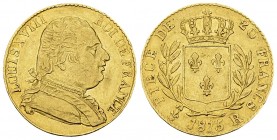 Louis XVIII, AV 20 Francs 1815 R, Londres 

France. Louis XVIII. AV 20 Francs 1815 R (6.36 g), Londres.
Gad. 1027.

TTB.
