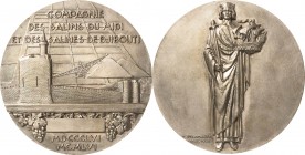 Ausbeute, Bergbau, Hüttenwesen
 Versilberte Bronzemedaille 1956 (R. Delamarre) 100-Jahrfeier der "Compagnie des Salins du Midi et des Salines de Djib...
