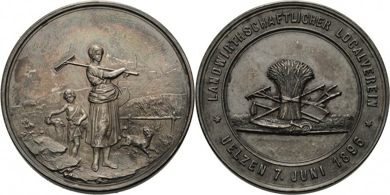 Gartenbau und Landwirtschaft
 Silbermedaille 1896 (unsigniert) Preismedaille de...