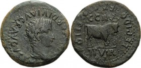 Kaiserzeit
Tiberius 14-37 Bronze, Caesaraugusta/Hispania Kopf nach rechts, I. CAESAR DIVI AVG F AVGVSTVS / Stier nach rechts, C C A T CAECILIO LEPIDO...