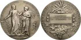 Frankreich
Dritte Republik 1870-1940 Silbermedaille 1921 (A. Dubois) Prämie des Landwirtschaftlichen Ministeriums. Stehende "Republik" legt ihre Link...