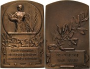 Frankreich-Saint Etienne
 Bronzeplakette 1926 (Kautsch) 42. Französischer Bildungskongress in St. Etienne. Frauengestalt mit Öl- und Palmenzweig über...