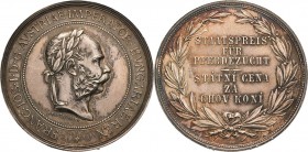 Kaiserreich Österreich
Franz Joseph I. 1848-1916 Silbermedaille o.J. (J. Tautenhayn) Staatspreis für Pferdezucht. Kopf nach rechts / 6 Zeilen Schrift...