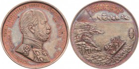 Medaillen
 Bronzemedaille 1884 (Lauer) Verkündung des deutschen Protektorats über Lüderitzland Angra-Pequena. Brustbild Kaisers Wilhelm I. nach recht...