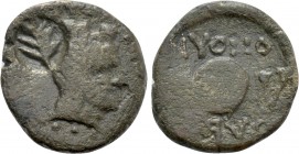 SKYTHIA. Olbia. Ae (Circa 100-90 BC).
