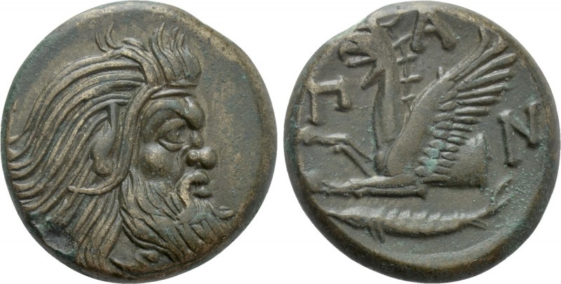 CIMMERIAN BOSPOROS. Pantikapaion. Ae (Circa 310-304/3 BC). 

Obv: Bearded head...