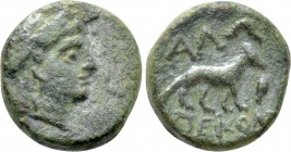 THRACE. Alopekonnesos. Ae (Circa 400-300 BC).