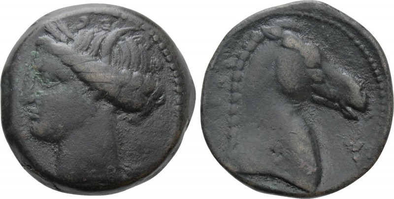 CARTHAGE. Ae Shekel(?) (Circa 300-264 BC). Mint on Sardinia. 

Obv: Head of Ta...