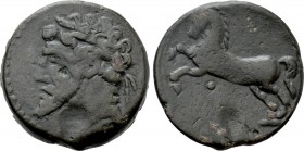 KINGS OF NUMIDIA. Massinissa or Micipsa (203-148 and 148-118 BC, respectively). Ae.