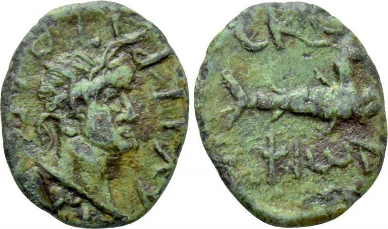 TROAS. Scepsis. TRAJAN (98-117). Ae. 

Obv: ΑΥΤΟΚΡΑΤΩ ΝΕΡ ΤΡΑΙ. 
Laureate hea...