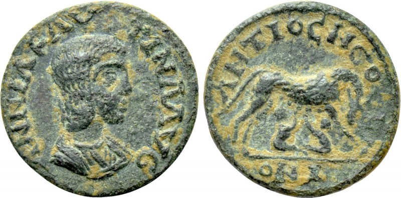 PISIDIA. Antioch. Annia Faustina (Augusta, 221). Ae. 

Obv: ANNIA FAVSTINA AVG...