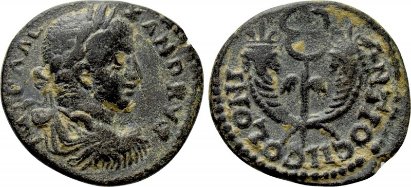 PISIDIA. Antioch. Severus Alexander (222-235). Ae. 

Obv: IMP ALEXANDRVS. 
La...