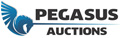 Pegasus Auctions, Auction 6