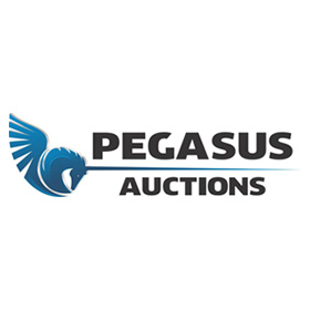 Pegasus Auctions, Auction 7