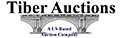 Tiber Numismatics and Auctions, Auction 4