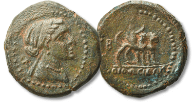 Lot 114. PHOENICIA. Orthosia. Cleopatra VII, 51-30 BC. Ae.