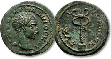 Lot 291. MYSIA. Kyzikos. Maximus, Caesar AD 236-238. AE.